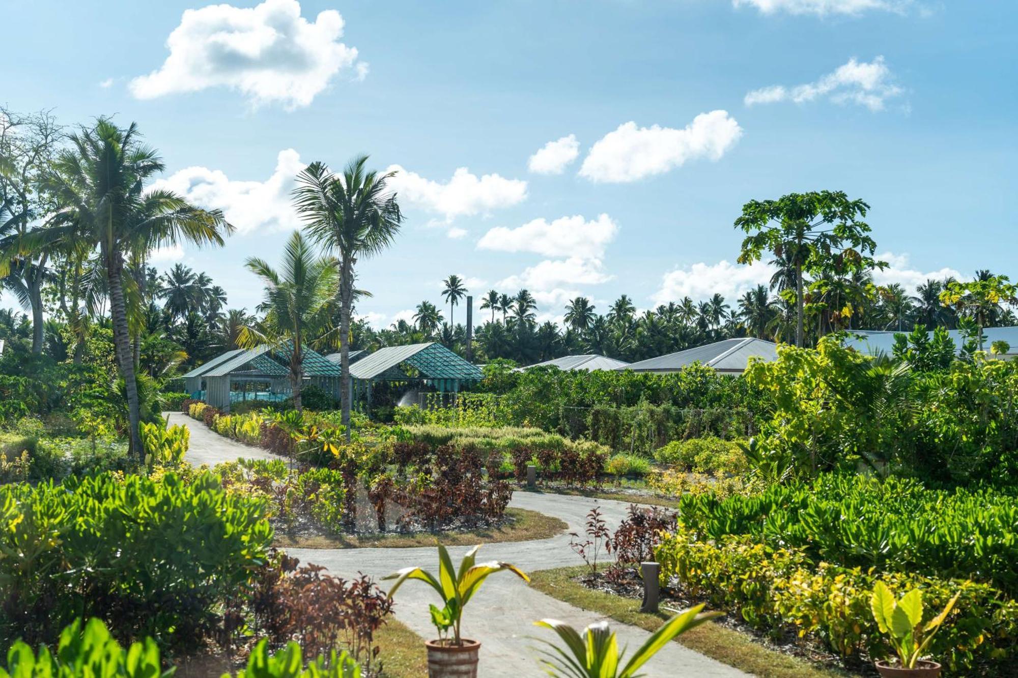 Waldorf Astoria Seychelles Platte Island Hotel Exterior foto